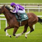 Sensational Saudi Cup: Forever Young Edges Romantic Warrior