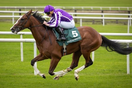 diego velazquez horse contender part of the 3 best bets for the 2025 turf mile