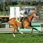 Sensational Saudi Cup: Forever Young Edges Romantic Warrior