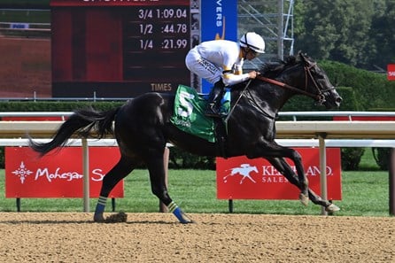 its our time horse contender