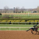 Sensational Saudi Cup: Forever Young Edges Romantic Warrior