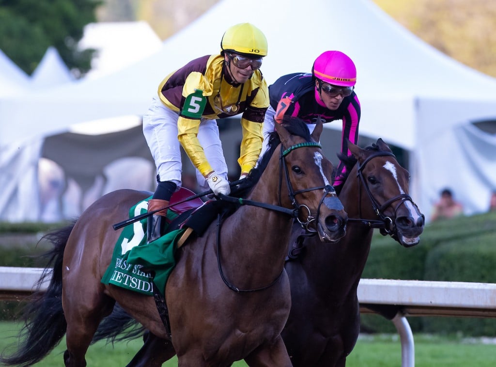 raven run stakes