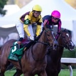 Sensational Saudi Cup: Forever Young Edges Romantic Warrior