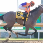 Sensational Saudi Cup: Forever Young Edges Romantic Warrior