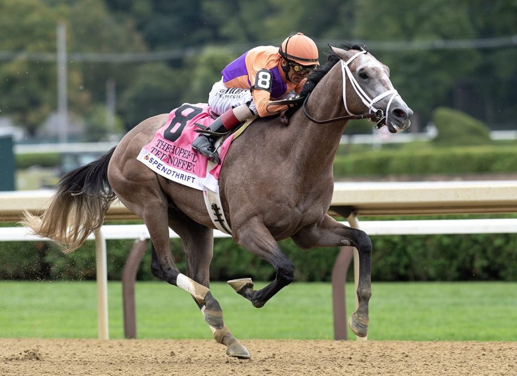 ted noffey horse contender