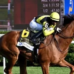 Sensational Saudi Cup: Forever Young Edges Romantic Warrior