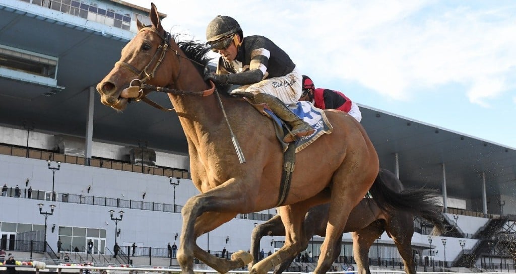 Aqueduct Betting Analysis for Saturday: Odds and Picks. US Racing, all you need for Every Race, Expert Picks, and Official Odds.