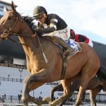 Sensational Saudi Cup: Forever Young Edges Romantic Warrior