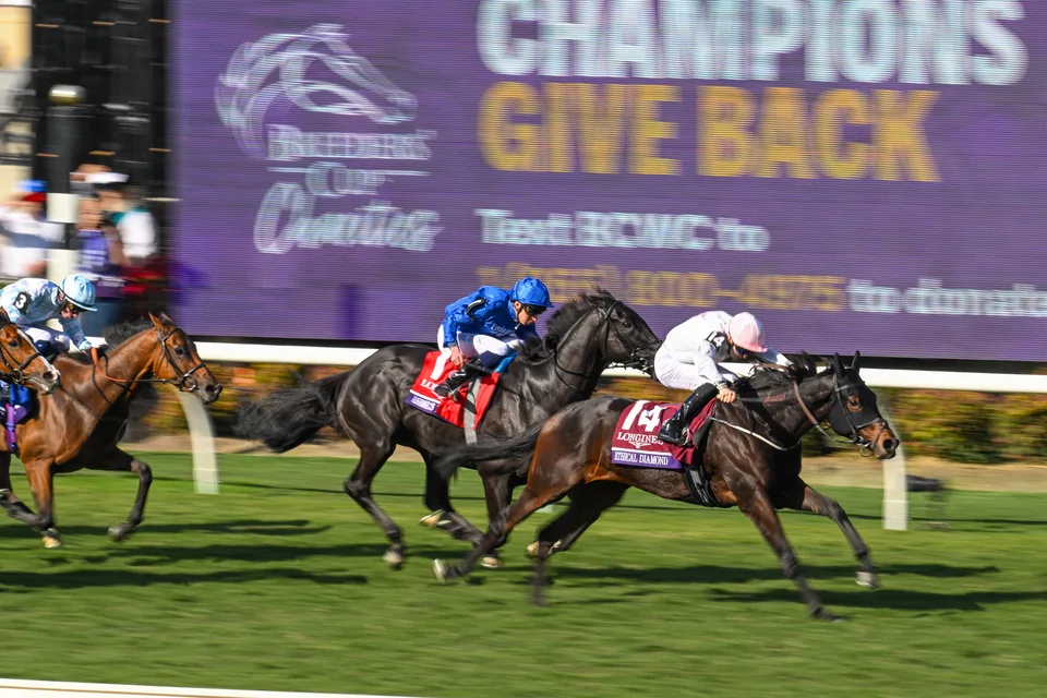 Ethical Diamond at The 02025 Breeders' Cup