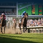 Sensational Saudi Cup: Forever Young Edges Romantic Warrior