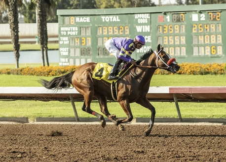 Del Mar Betting: What to Expect at the Bing Crosby Fall Meet. US Racing, all you need for Every Race, Expert Picks, and Official Odds.