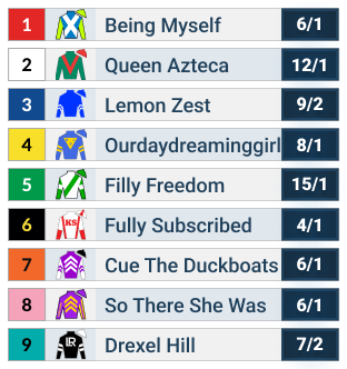 2025 Mother Goose Stakes Official Odds