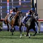 Sensational Saudi Cup: Forever Young Edges Romantic Warrior