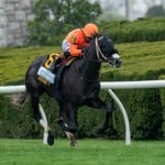 Sensational Saudi Cup: Forever Young Edges Romantic Warrior