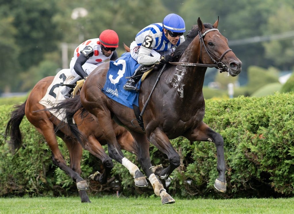 The Three Secure Bets for the Hill Prince Stakes. US Racing, all you need for Every Race, Expert Picks, Insights, and Official Odds.