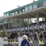 Sensational Saudi Cup: Forever Young Edges Romantic Warrior