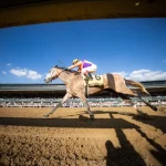 Sensational Saudi Cup: Forever Young Edges Romantic Warrior