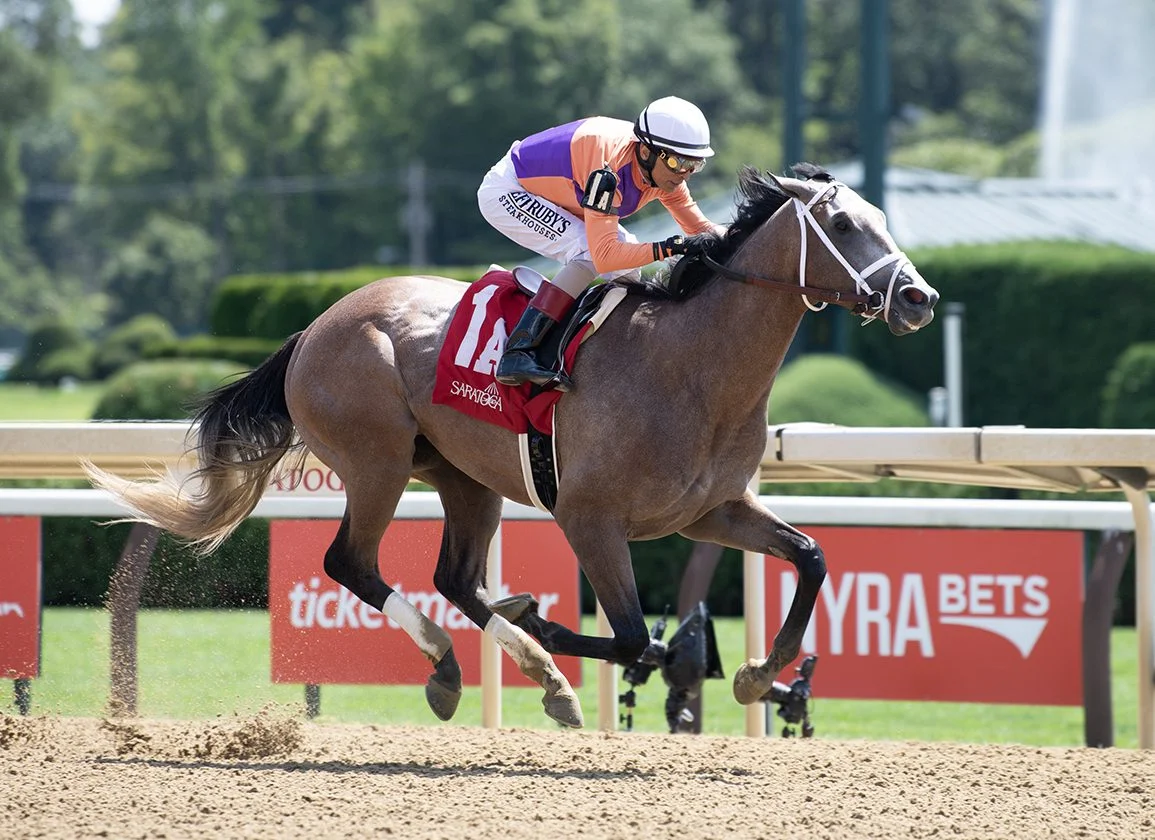 Sensational Saudi Cup: Forever Young Edges Romantic Warrior