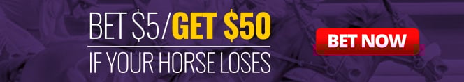 promotional betting banner for breeders cup with a text: bet $5 get $50 if your horse loses