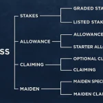 Sensational Saudi Cup: Forever Young Edges Romantic Warrior