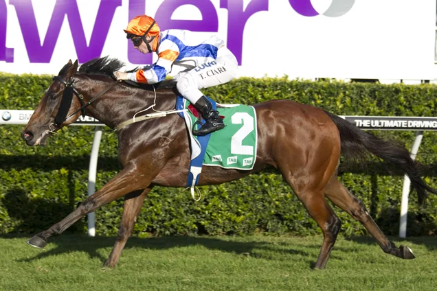 Sensational Saudi Cup: Forever Young Edges Romantic Warrior