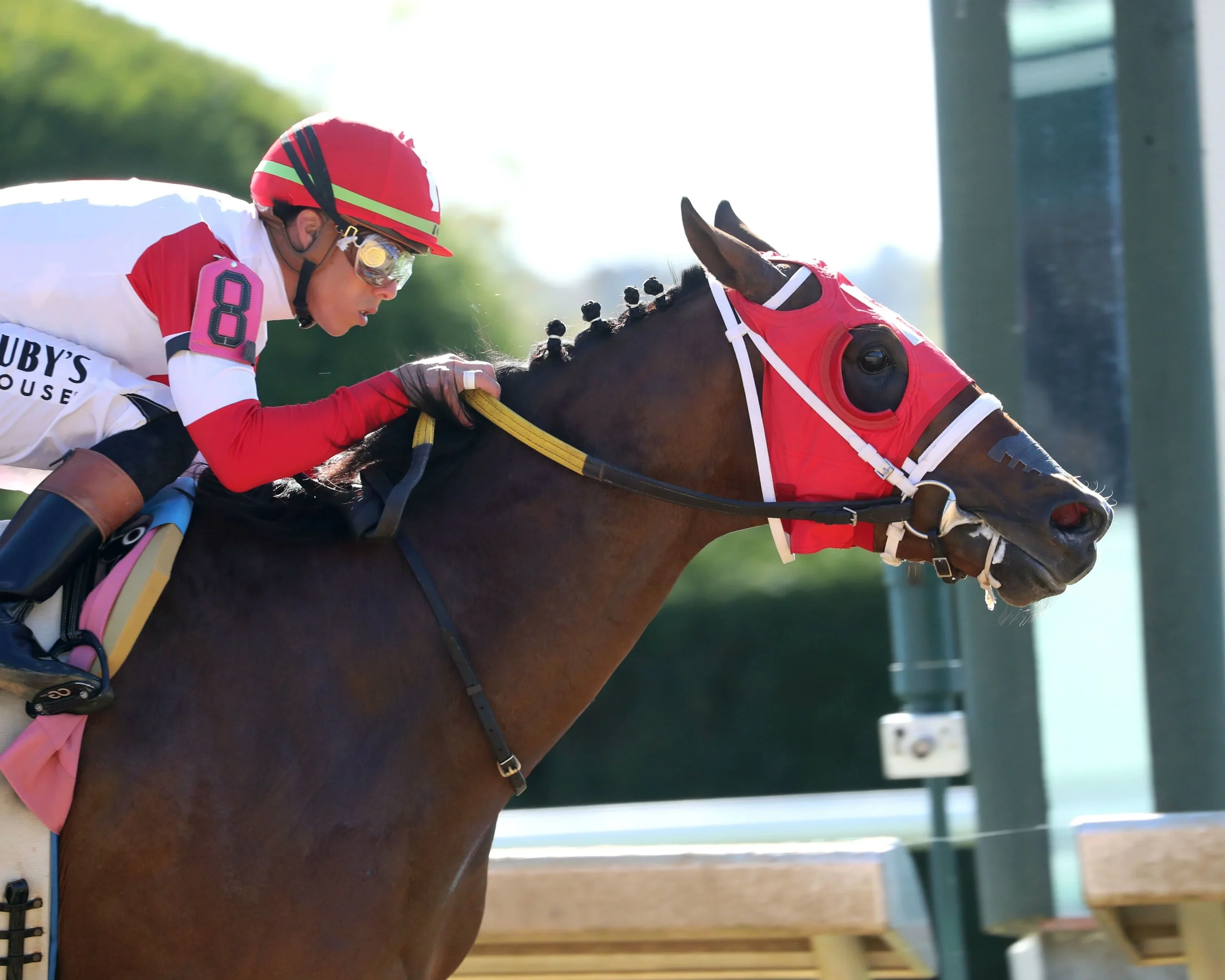 Sensational Saudi Cup: Forever Young Edges Romantic Warrior