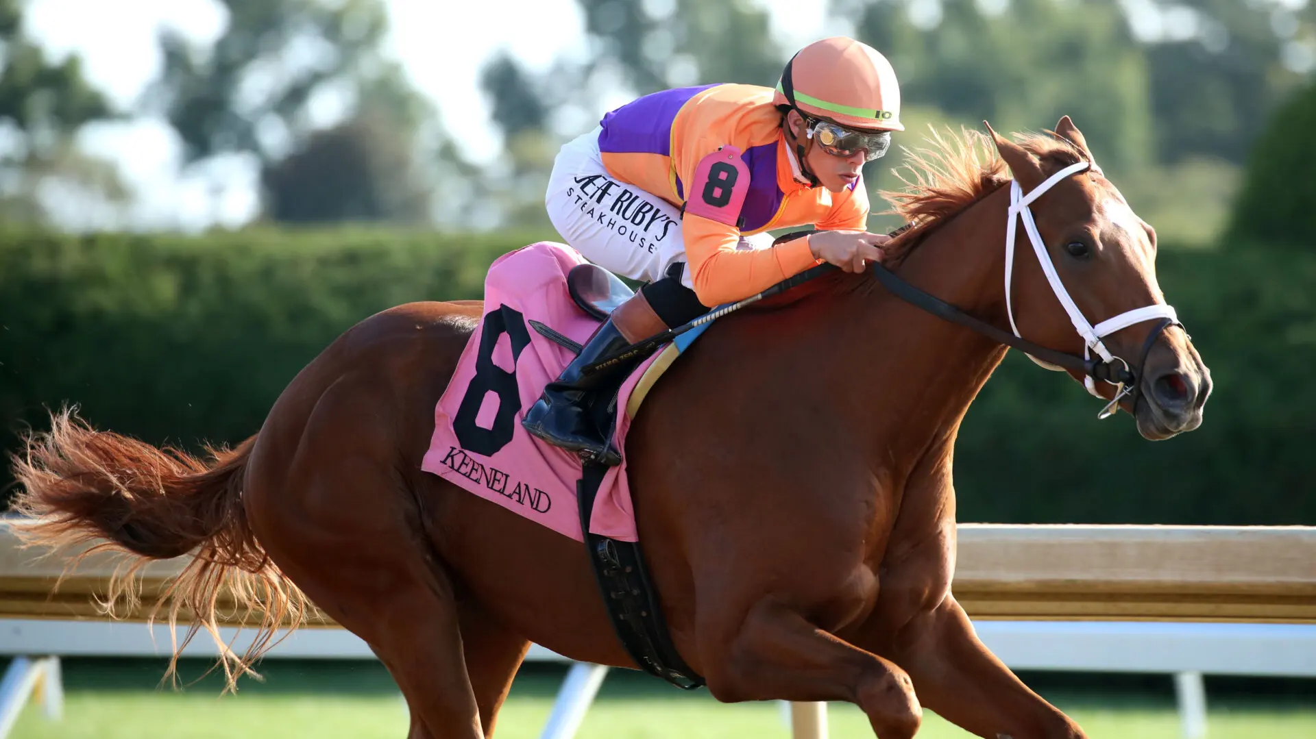 Sensational Saudi Cup: Forever Young Edges Romantic Warrior