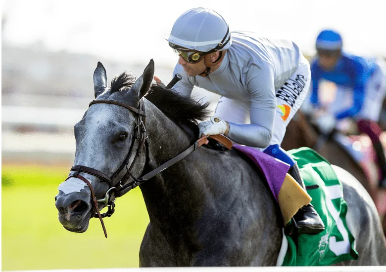 Sensational Saudi Cup: Forever Young Edges Romantic Warrior