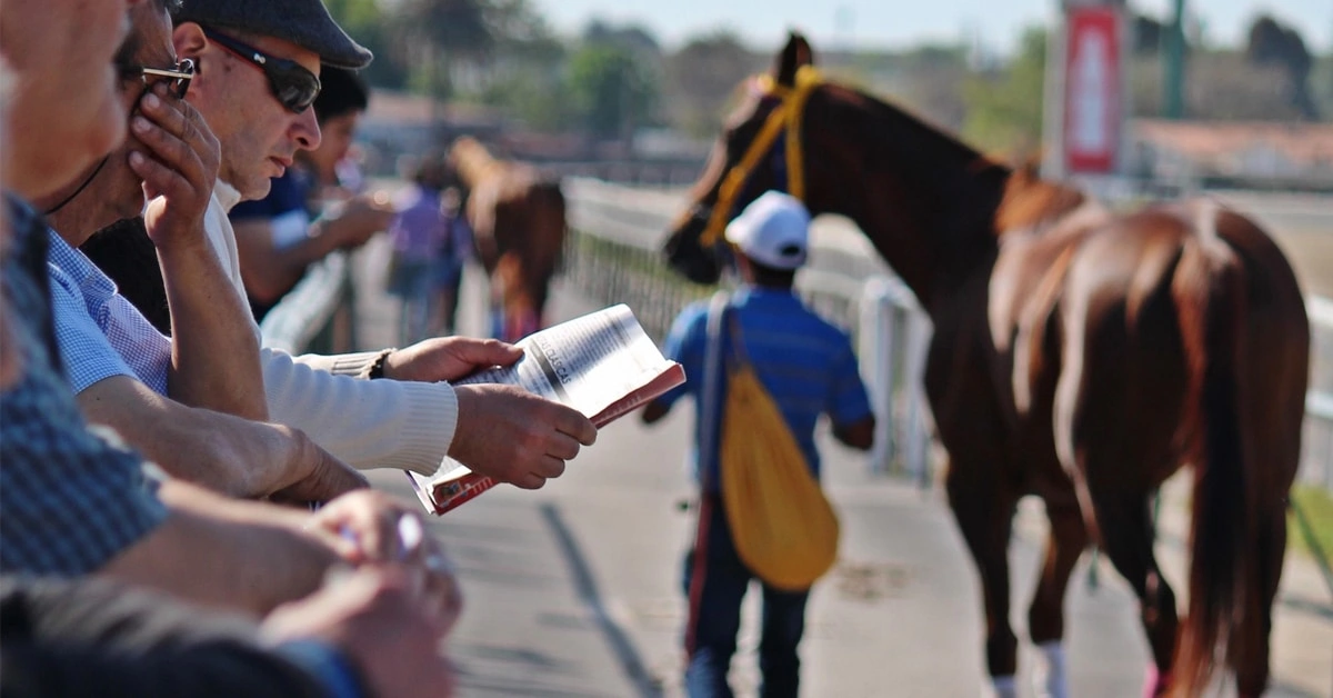 Sensational Saudi Cup: Forever Young Edges Romantic Warrior