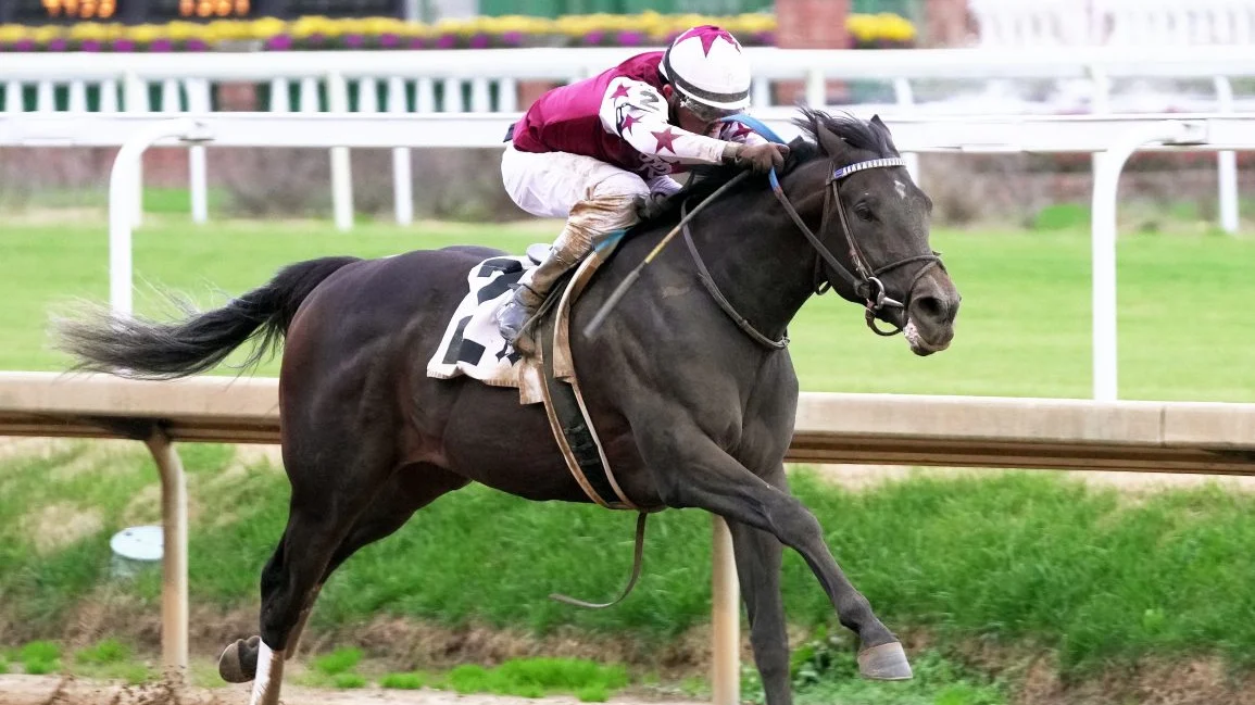 Sensational Saudi Cup: Forever Young Edges Romantic Warrior