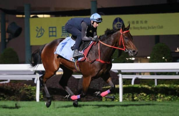 Sensational Saudi Cup: Forever Young Edges Romantic Warrior