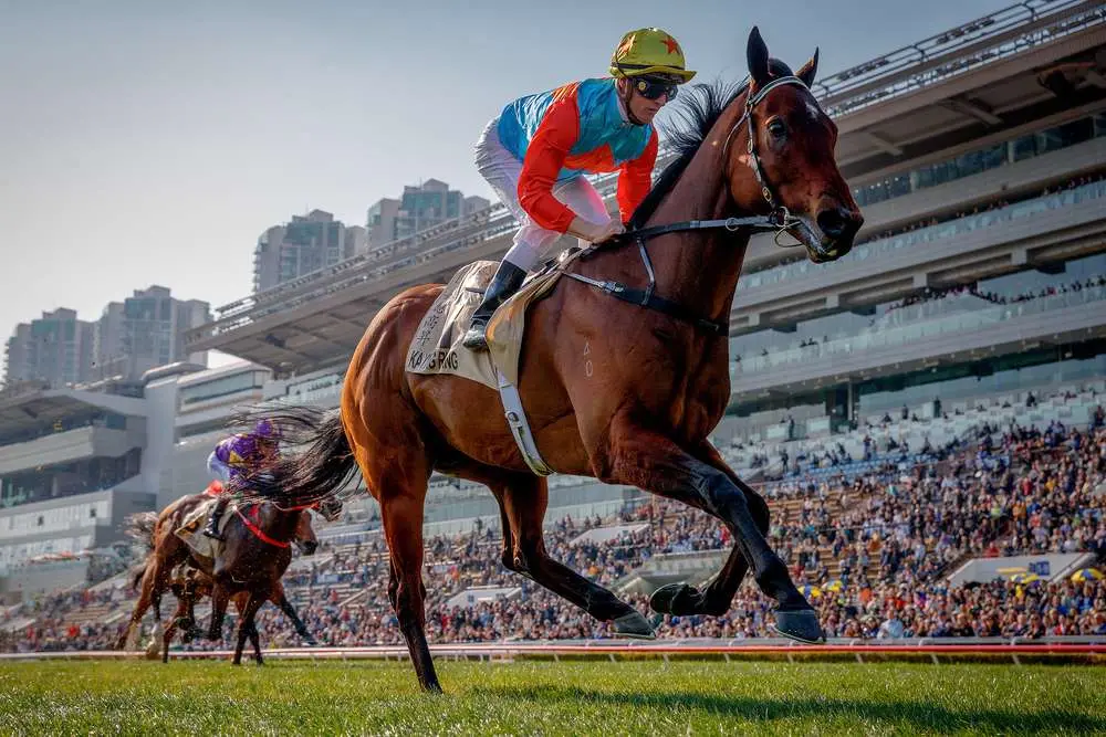 Sensational Saudi Cup: Forever Young Edges Romantic Warrior