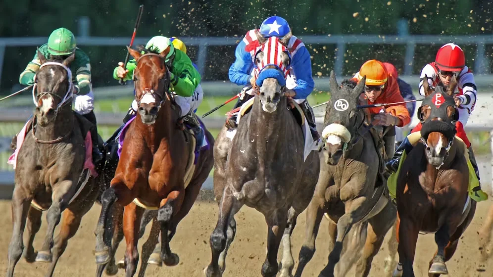 Sensational Saudi Cup: Forever Young Edges Romantic Warrior