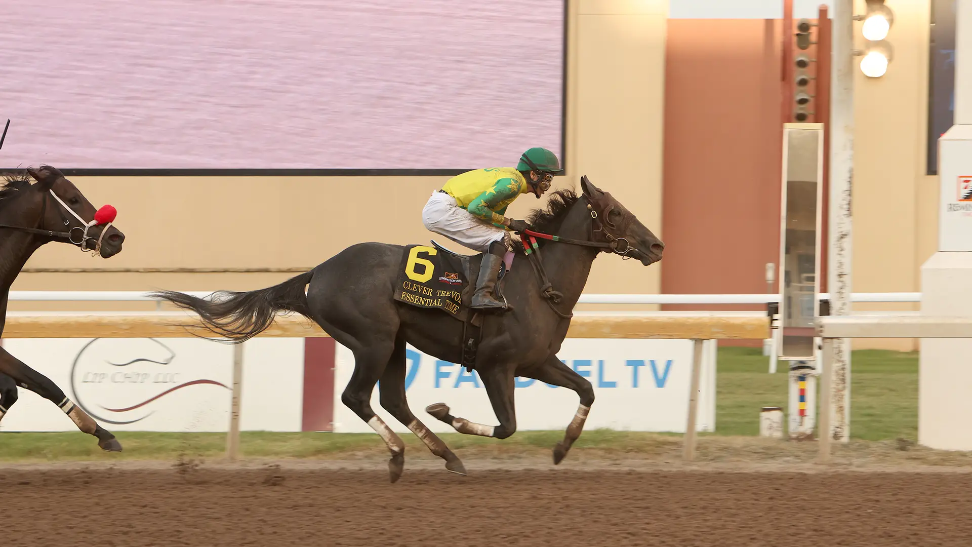 Sensational Saudi Cup: Forever Young Edges Romantic Warrior