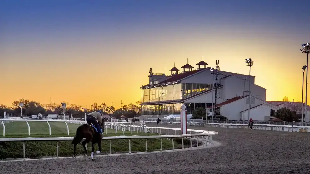 Sensational Saudi Cup: Forever Young Edges Romantic Warrior