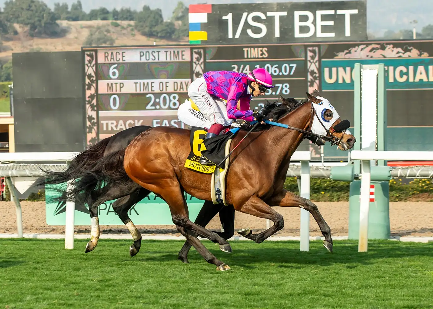 Sensational Saudi Cup: Forever Young Edges Romantic Warrior