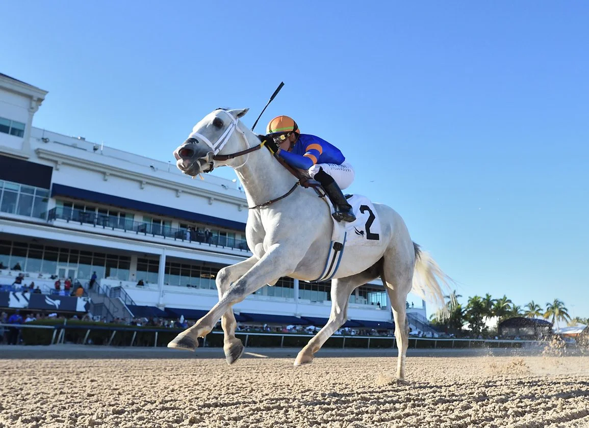 Sensational Saudi Cup: Forever Young Edges Romantic Warrior
