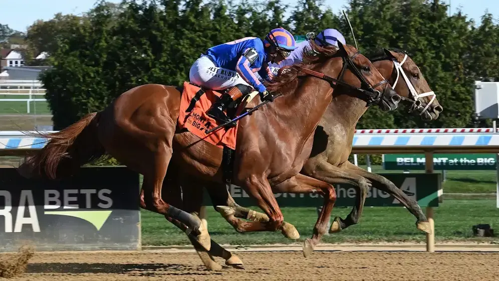 Sensational Saudi Cup: Forever Young Edges Romantic Warrior