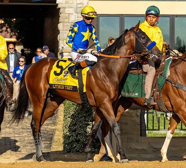 Sensational Saudi Cup: Forever Young Edges Romantic Warrior