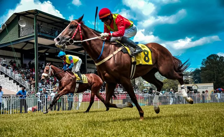 Sensational Saudi Cup: Forever Young Edges Romantic Warrior