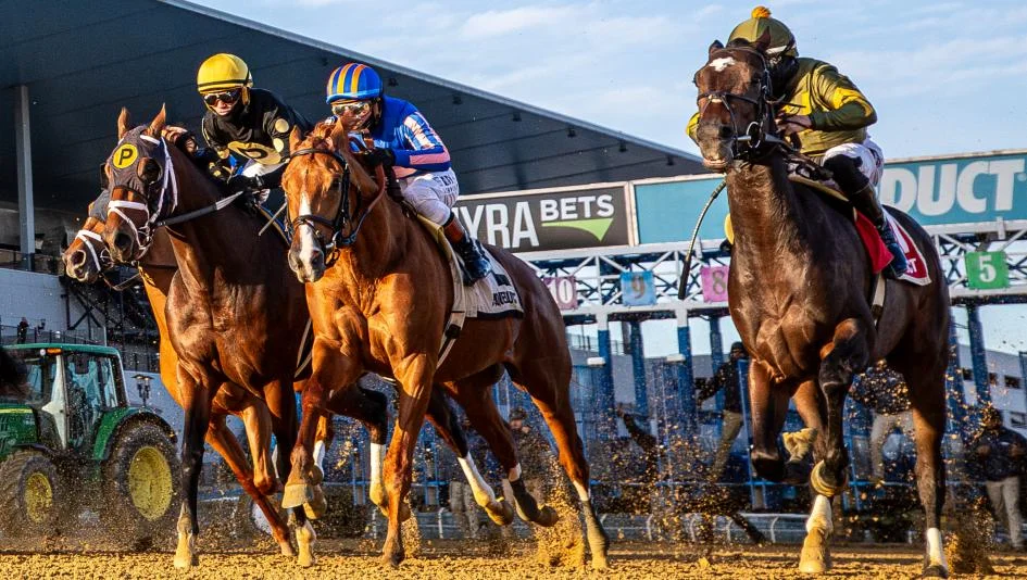 Sensational Saudi Cup: Forever Young Edges Romantic Warrior