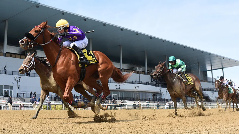 Sensational Saudi Cup: Forever Young Edges Romantic Warrior