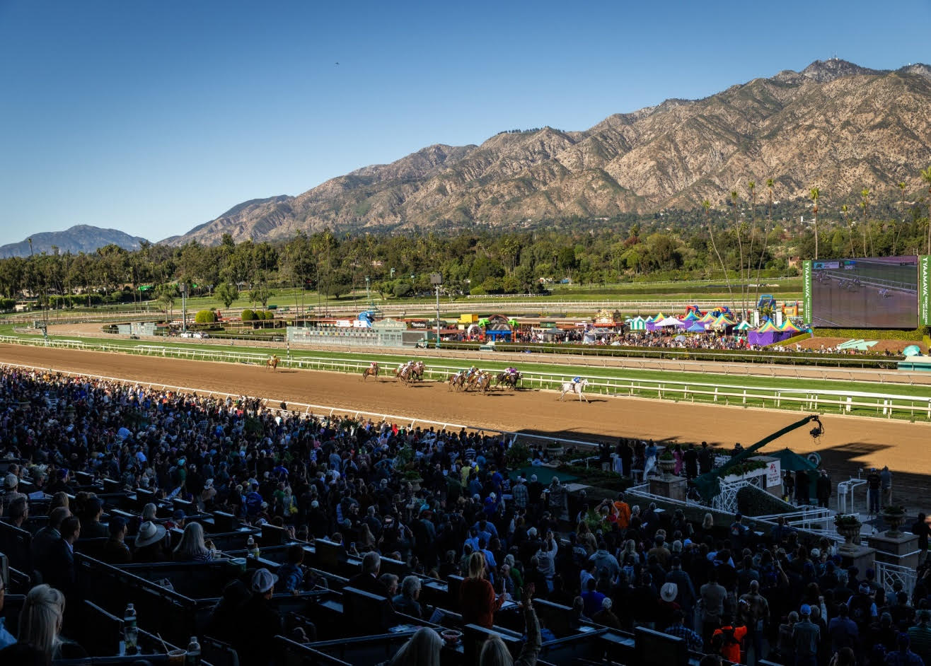 Sensational Saudi Cup: Forever Young Edges Romantic Warrior