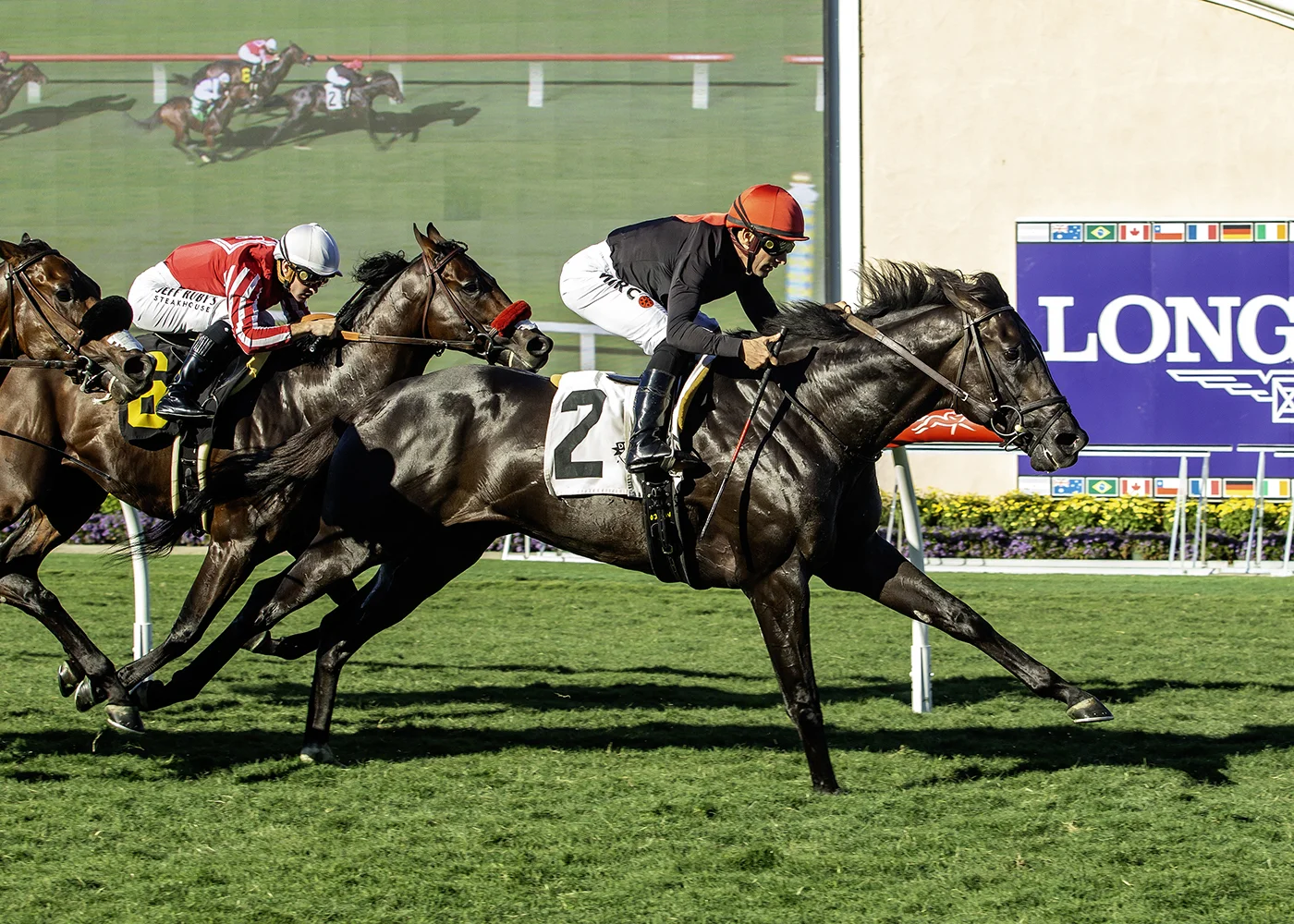 Sensational Saudi Cup: Forever Young Edges Romantic Warrior