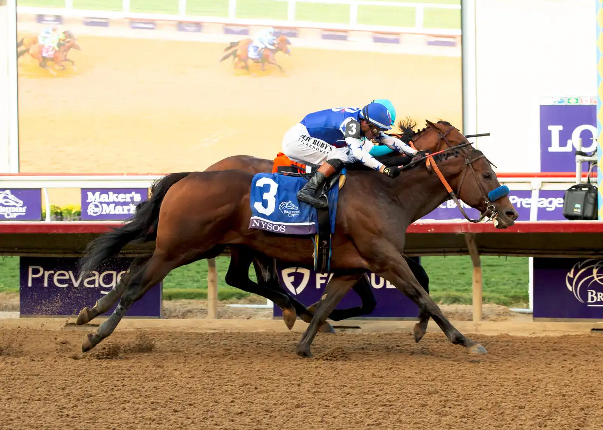 Sensational Saudi Cup: Forever Young Edges Romantic Warrior