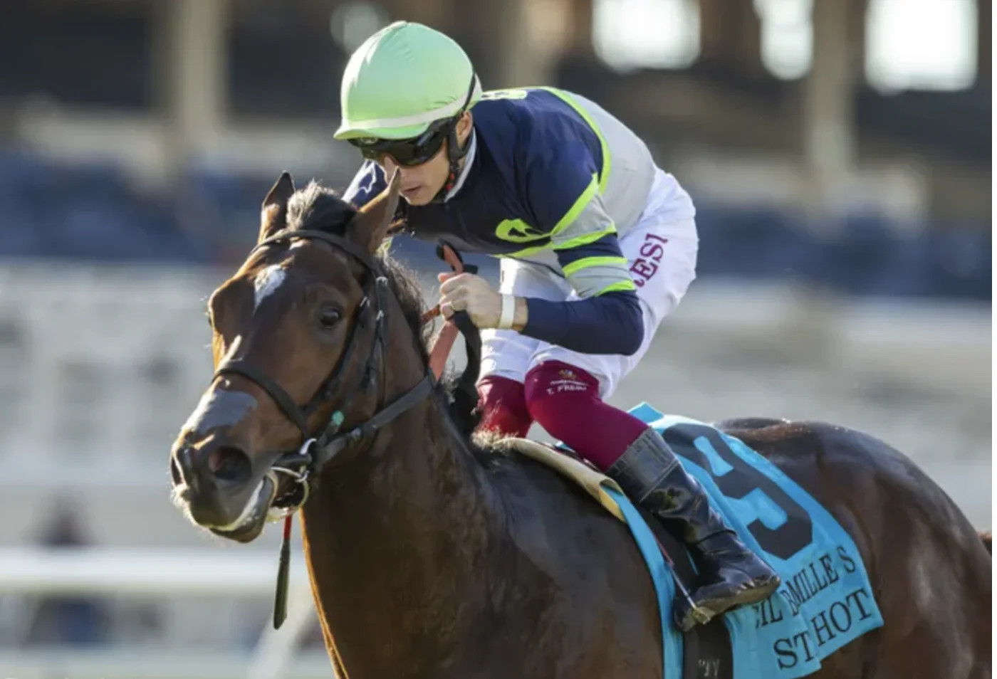 Sensational Saudi Cup: Forever Young Edges Romantic Warrior