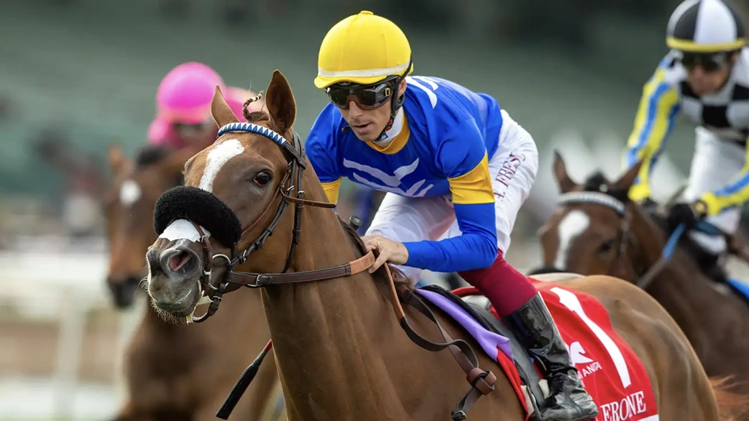 Sensational Saudi Cup: Forever Young Edges Romantic Warrior