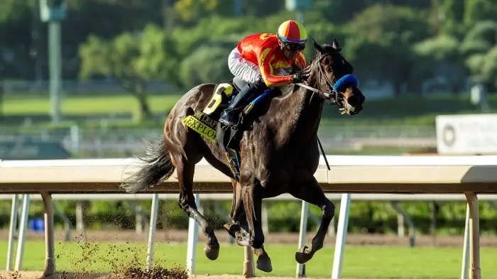 Sensational Saudi Cup: Forever Young Edges Romantic Warrior