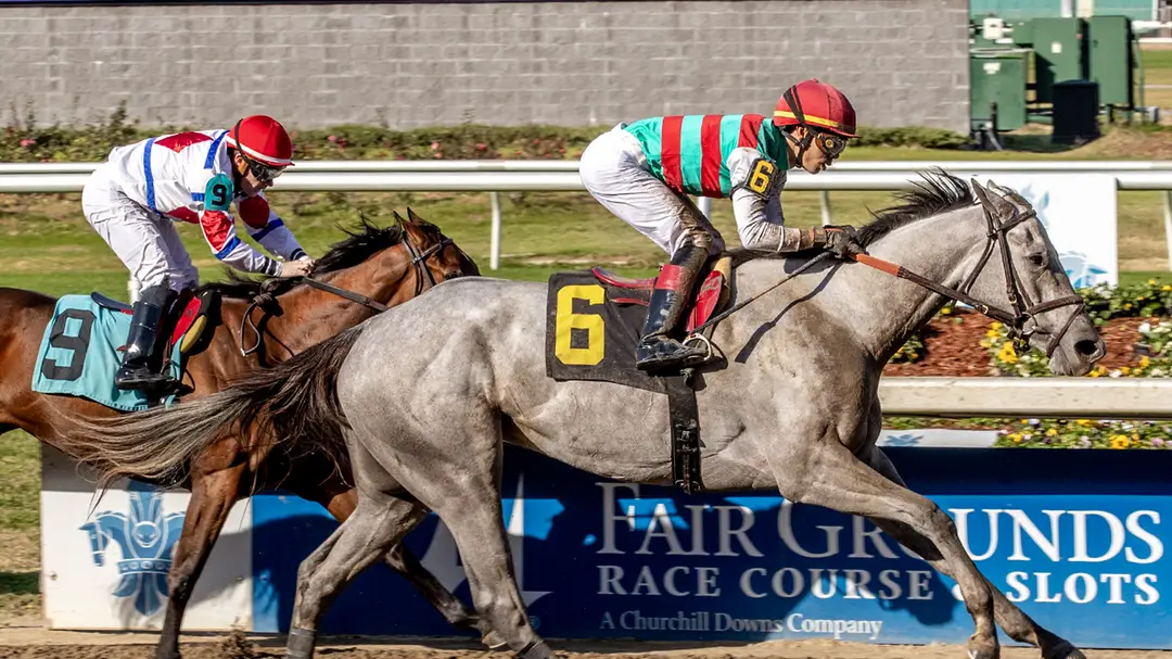 Sensational Saudi Cup: Forever Young Edges Romantic Warrior