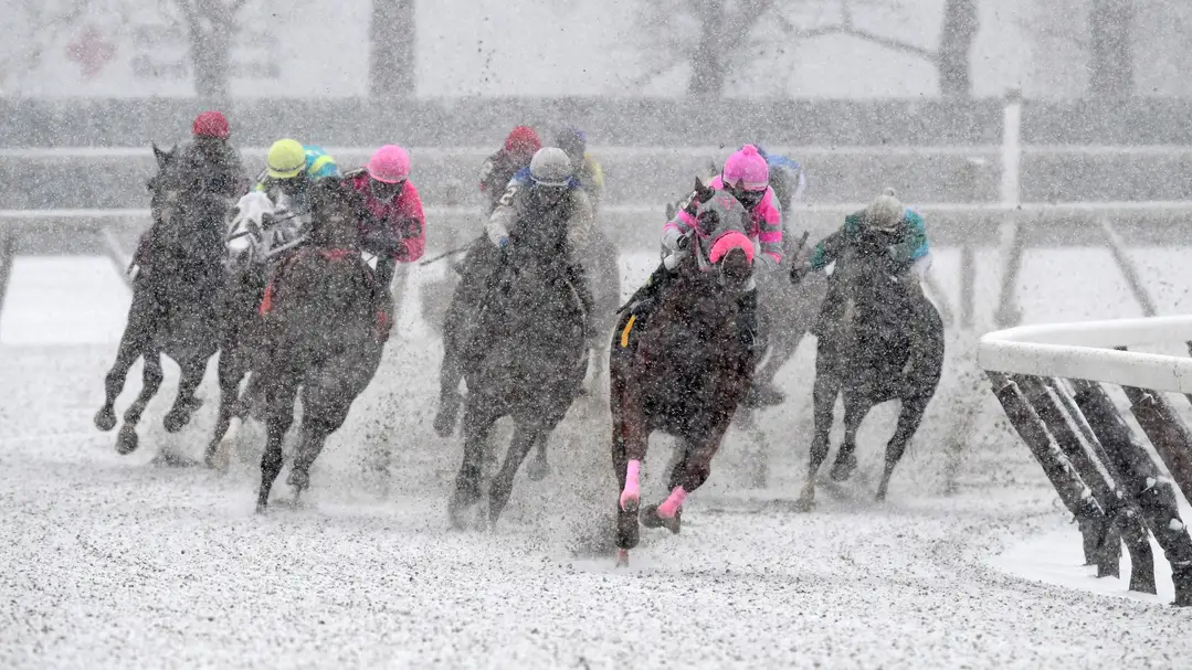 Sensational Saudi Cup: Forever Young Edges Romantic Warrior